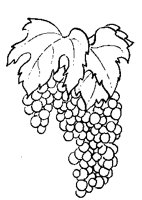 GRAPES5.PCX