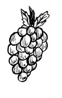 GRAPES1.PCX