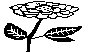 FLOWER94.PCX