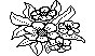 FLOWER90.PCX