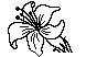 FLOWER81.PCX