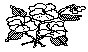 FLOWER78.PCX