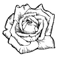 FLOWER71.PCX