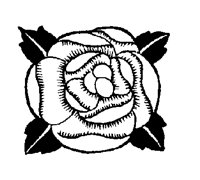 FLOWER65.PCX