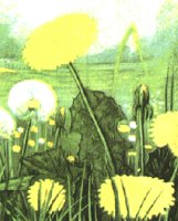 FLOWER59.PCX