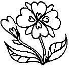 FLOWER41.PCX