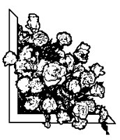 FLOWER2.PCX