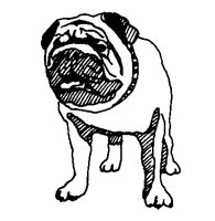DOGS26.PCX