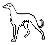 DOGS1_1.PCX