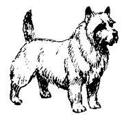 DOGS14.PCX