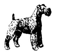 DOGS12.PCX