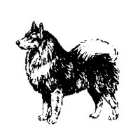 DOGS11.PCX