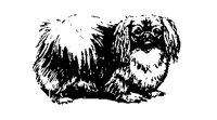 DOGS07.PCX