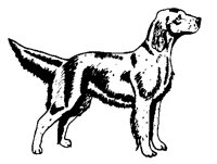 DOGS05.PCX