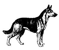 DOGS03.PCX