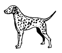 DALMATN.PCX