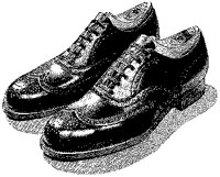 WINGTIPS.PCX
