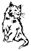 CAT51.PCX
