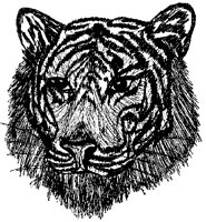 BIGCAT66.PCX