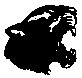 BIGCAT54.PCX