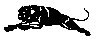 BIGCAT51.PCX