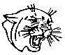 BIGCAT49.PCX