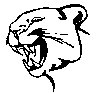 BIGCAT48.PCX