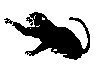 BIGCAT44.PCX