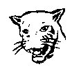 BIGCAT41.PCX