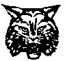 BIGCAT09.PCX