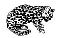 BIGCAT06.PCX
