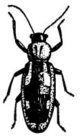 BUGS47.PCX