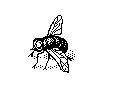 BUGS45.PCX
