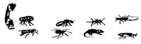 BUGS43.PCX