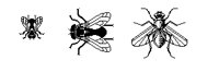 BUGS33.PCX