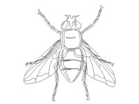 BUGS32.PCX