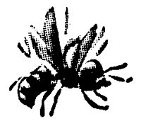 BUGS26.PCX