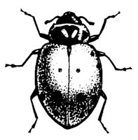 BUGS24.PCX