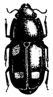 BUGS18.PCX