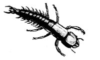 BUGS08.PCX