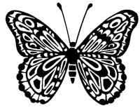 BFLY21.PCX