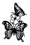 BFLY05.PCX