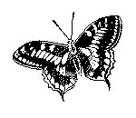 BFLY02.PCX