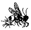 BEES39.PCX