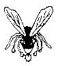 BEES28.PCX