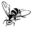BEES22.PCX