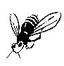 BEES11.PCX