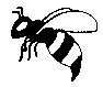 BEES08.PCX