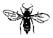 BEES07.PCX