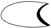 BORD5_48.PCX